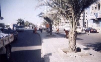 منطقة الشيخ عثمان